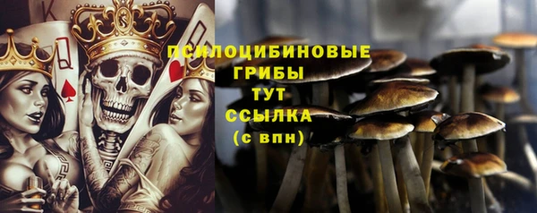амфетамин Белокуриха