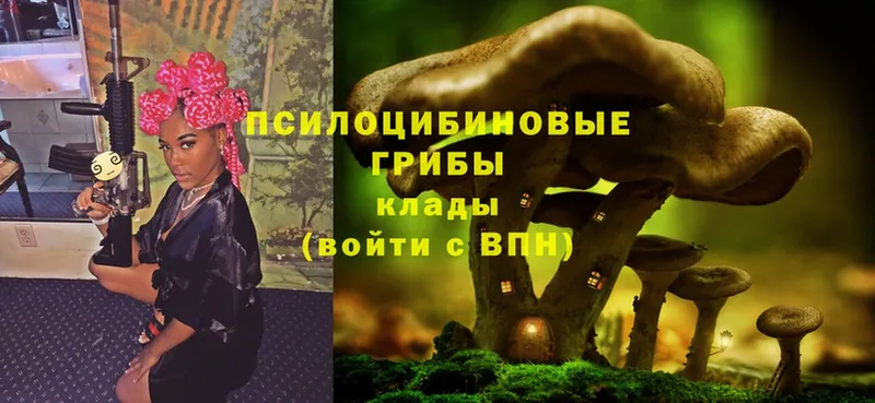 mega зеркало  Бобров  Галлюциногенные грибы MAGIC MUSHROOMS 