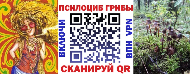Псилоцибиновые грибы мицелий  Бобров 